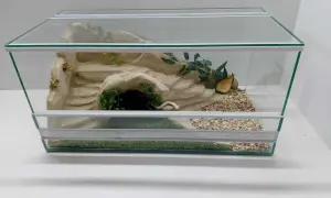 Szklane terrarium z piaskiem, kryjówką, zielenią i korą dla żółwia.
