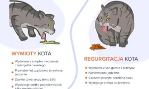 Ilustracja pokazuje dwa koty. Po lewej kot wymiotuje śliną i treścią żołądkową. Po prawej kot zwraca niestrawione jedzenie.