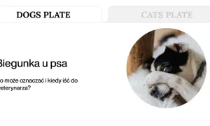 Biegunka u psa? Dowiedz się, co może oznaczać i kiedy szukać domowe sposoby lub pomocy weterynarza. Piesek wygląda na chorego.