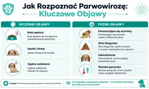 Objawy parwowirozy u psa: brak apetytu, apatia, wymioty, biegunka, odwodnienie, gorączka. Szybka reakcja jest kluczowa.