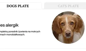 Pies alergik z poradnikiem żywienia na mokrych karmach monobiałkowych.