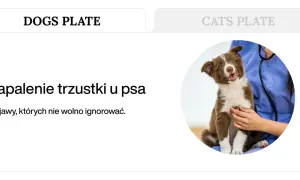Brązowy szczeniak z otwartym pyskiem, któremu weterynarz osłuchuje serce stetoskopem.