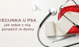 Biegunka u psa? Na zdjęciu leki, stetoskop i apteczka. Pamiętaj, ludzkie leki na biegunkę dla psa mogą być niebezpieczne.