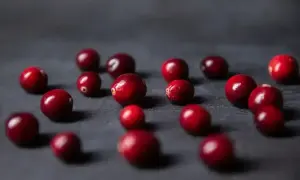 Czerwone, błyszczące żurawiny rozsypane na ciemnym tle. Czy pies może jeść żurawinę? Tak, ale z umiarem.