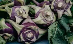 Kupka fioletowo-zielonych kalarep. Czy pies może jeść kalarepę? To warzywo jest bezpieczne dla psów w małych ilościach.