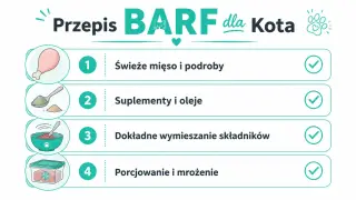Przepis na dietę BARF dla kota: świeże mięso, suplementy, wymieszanie i mrożenie.
