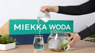 Ręce wylewają wodę do akwarium, pokazując jak zmiękczyć wodę w akwarium.