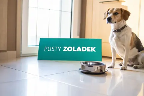 Pies siedzi obok pustej miski, a obok niego stoi tabliczka "PUSTY ŻOŁĄDEK". Wygląda, jakby miał zaraz zwymiotować żółtą pianą.