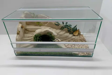Szklane terrarium z piaskiem, kryjówką, zielenią i korą dla żółwia.