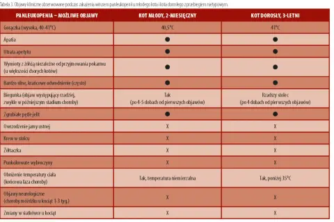 Tabela porównująca objawy panleukopenii u młodego i dorosłego kota. Wymienia gorączkę, apatię, odwodnienie, biegunkę, wymioty i inne symptomy.