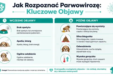 Objawy parwowirozy u psa: brak apetytu, apatia, wymioty, biegunka, odwodnienie, gorączka. Szybka reakcja jest kluczowa.