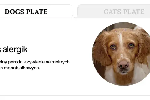Pies alergik z poradnikiem żywienia na mokrych karmach monobiałkowych.