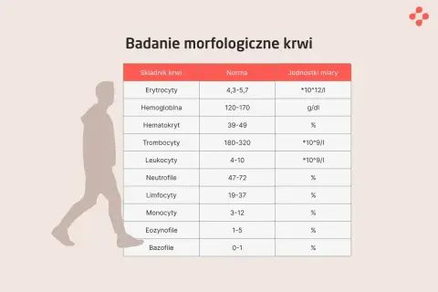 Tabela z badaniem morfologicznym krwi, pokazująca normy dla erytrocytów, hemoglobiny, hematokrytu, trombocytów, leukocytów i innych.