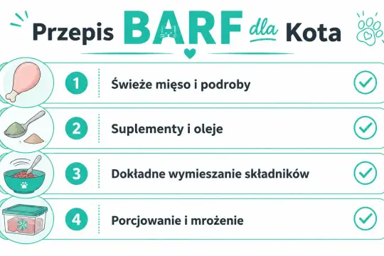 Przepis na dietę BARF dla kota: świeże mięso, suplementy, wymieszanie i mrożenie.