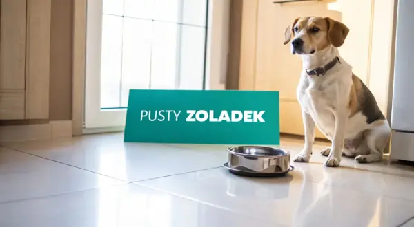 Pies siedzi obok pustej miski, a obok niego stoi tabliczka "PUSTY ŻOŁĄDEK". Wygląda, jakby miał zaraz zwymiotować żółtą pianą.