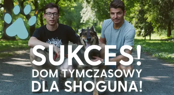 Dwóch mężczyzn i pies w parku. Napis: "Sukces! Dom tymczasowy dla Shoguna!".