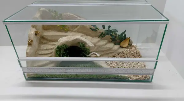 Szklane terrarium z piaskiem, kryjówką, zielenią i korą dla żółwia.