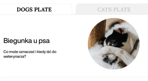 Biegunka u psa? Dowiedz się, co może oznaczać i kiedy szukać domowe sposoby lub pomocy weterynarza. Piesek wygląda na chorego.