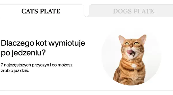 Kot bengalski z zielonymi oczami, oblizujący się. Tekst informuje o przyczynach, dla których kot wymiotuje po jedzeniu.