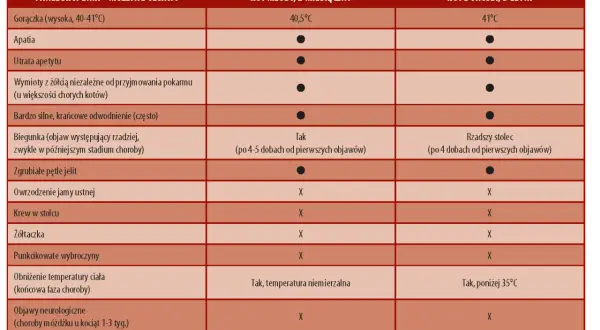 Tabela porównująca objawy panleukopenii u młodego i dorosłego kota. Wymienia gorączkę, apatię, odwodnienie, biegunkę, wymioty i inne symptomy.