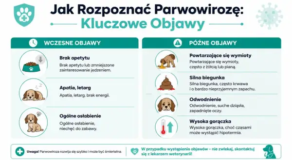 Objawy parwowirozy u psa: brak apetytu, apatia, wymioty, biegunka, odwodnienie, gorączka. Szybka reakcja jest kluczowa.