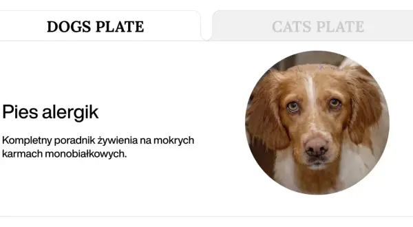 Pies alergik z poradnikiem żywienia na mokrych karmach monobiałkowych.