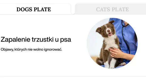 Brązowy szczeniak z otwartym pyskiem, któremu weterynarz osłuchuje serce stetoskopem.