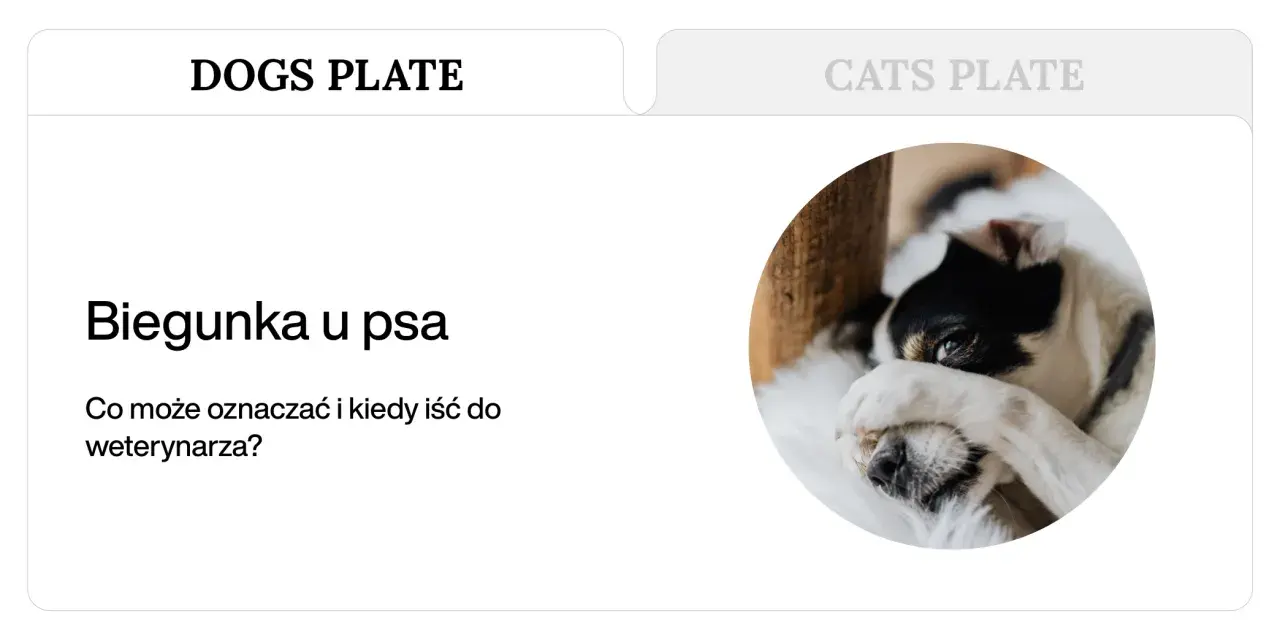 Biegunka u psa? Dowiedz się, co może oznaczać i kiedy szukać domowe sposoby lub pomocy weterynarza. Piesek wygląda na chorego.