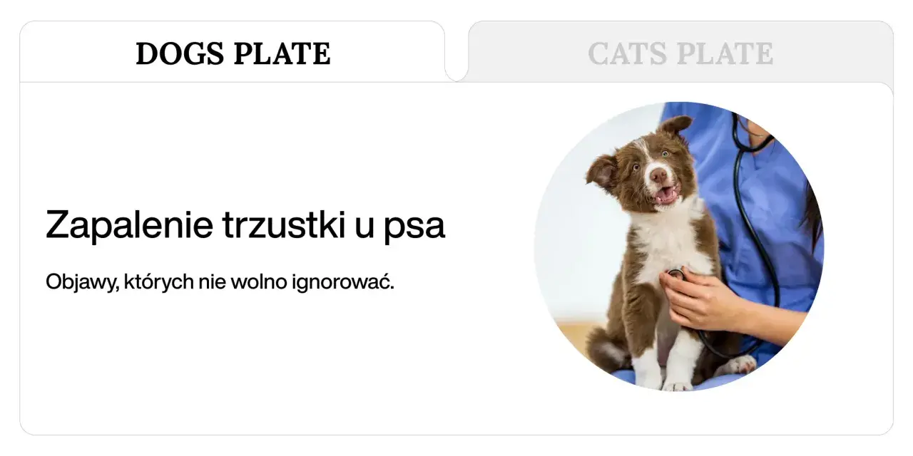 Brązowy szczeniak z otwartym pyskiem, któremu weterynarz osłuchuje serce stetoskopem.