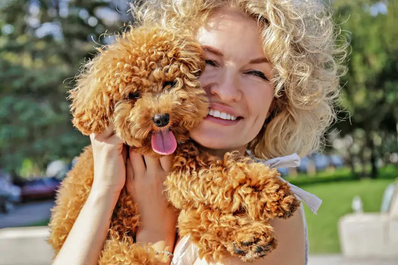 Uśmiechnięta kobieta z kręconymi blond włosami przytula brązowego maltipoo. Czy maltipoo ma włosy? Tak, jego kudłata sierść jest dowodem!