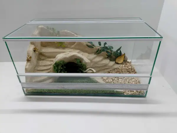 Szklane terrarium z piaskiem, kryjówką, zielenią i korą dla żółwia.