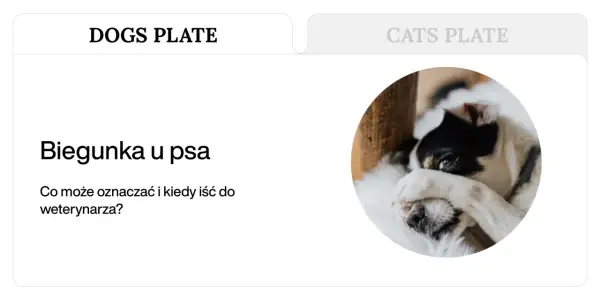 Biegunka u psa? Dowiedz się, co może oznaczać i kiedy szukać domowe sposoby lub pomocy weterynarza. Piesek wygląda na chorego.