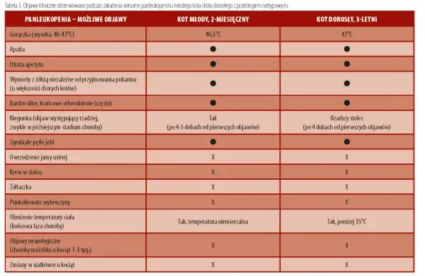 Tabela porównująca objawy panleukopenii u młodego i dorosłego kota. Wymienia gorączkę, apatię, odwodnienie, biegunkę, wymioty i inne symptomy.
