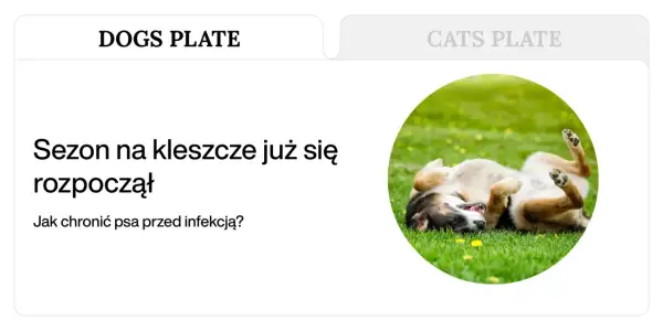 Szczeniak bawi się na trawie, podczas gdy sezon na kleszcze się rozpoczął. Czy kleszcze latają? Jak chronić psa?
