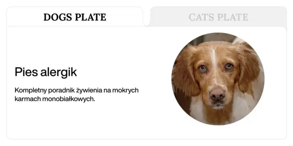 Pies alergik z poradnikiem żywienia na mokrych karmach monobiałkowych.
