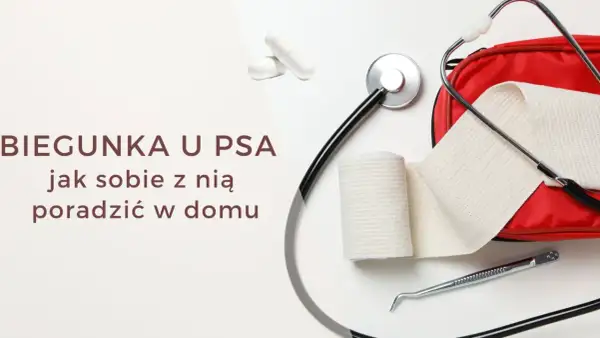 Biegunka u psa? Na zdjęciu leki, stetoskop i apteczka. Pamiętaj, ludzkie leki na biegunkę dla psa mogą być niebezpieczne.